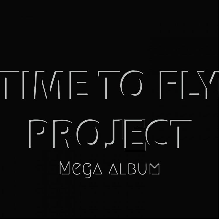 Time to Fly Project's avatar image