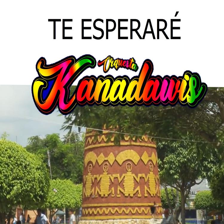 orquesta kanadawis's avatar image