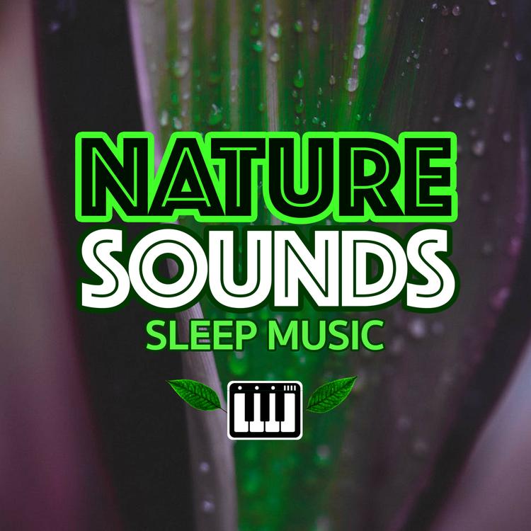 Nature Sounds Sleep Music's avatar image