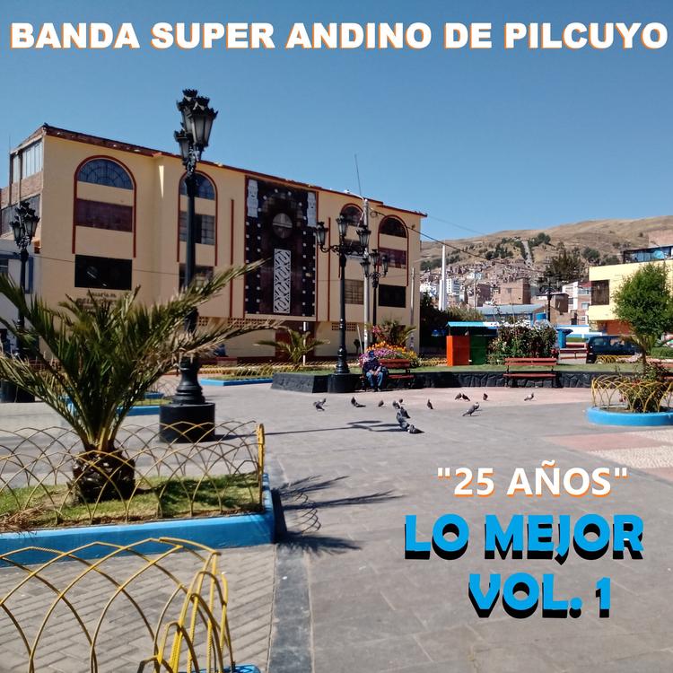 Banda Super Andino de Pilcuyo's avatar image