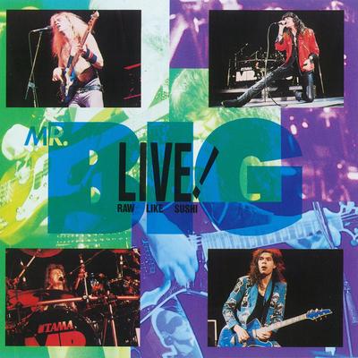 How Can You Do What You Do (Live at Hampton Coliseum, Hampton, VA, June 5, 1990)'s cover