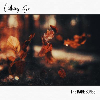 Letting Go By The Bare Bones's cover