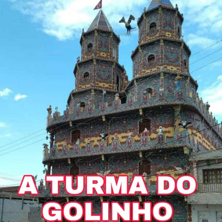 A turma do golinho's avatar image