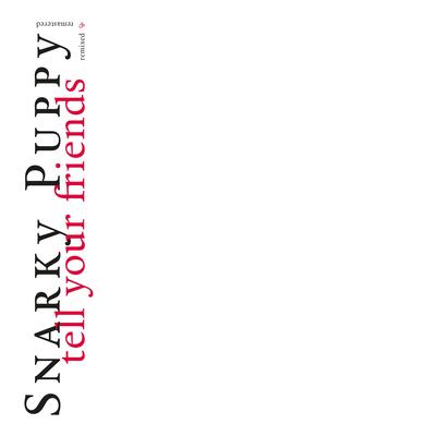 Anomynous (Bonus Track) (2020 Remaster) By Snarky Puppy's cover