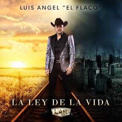 Te Lo Debo a Ti By Luis Angel “El Flaco“'s cover