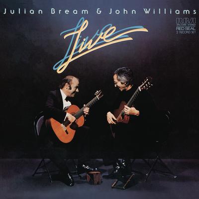 Dolly Suite, Op. 56 (Arranged for Two Guitars by Julian Bream): IV. Kitty Valse's cover