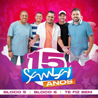 Sambaí 15 Anos: Te Fiz Bem, Blocos 5 e 6's cover