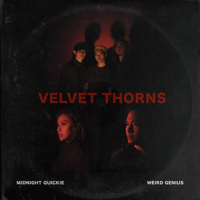 Velvet Thorns's cover
