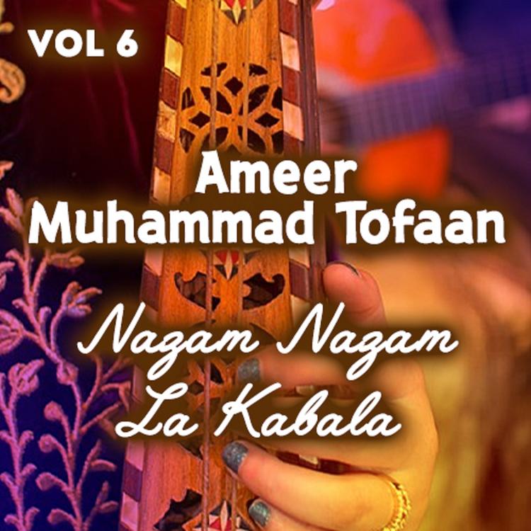Ameer Muhammad Tofaan's avatar image