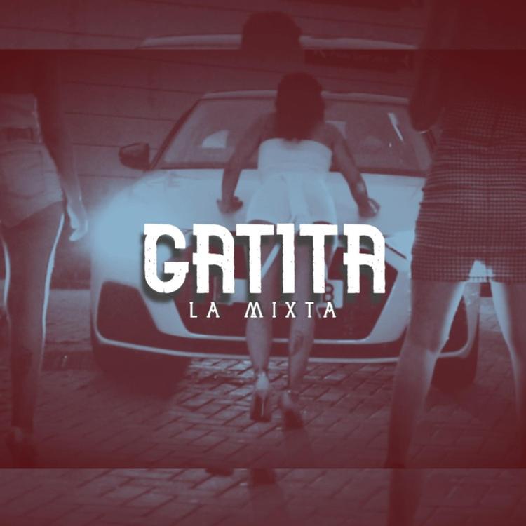 La Mixta's avatar image