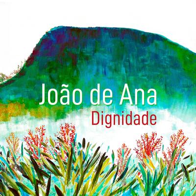 João de Ana's cover