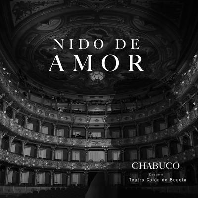 Nido de Amor (En Vivo Desde el teatro Colón de Bogotá)'s cover