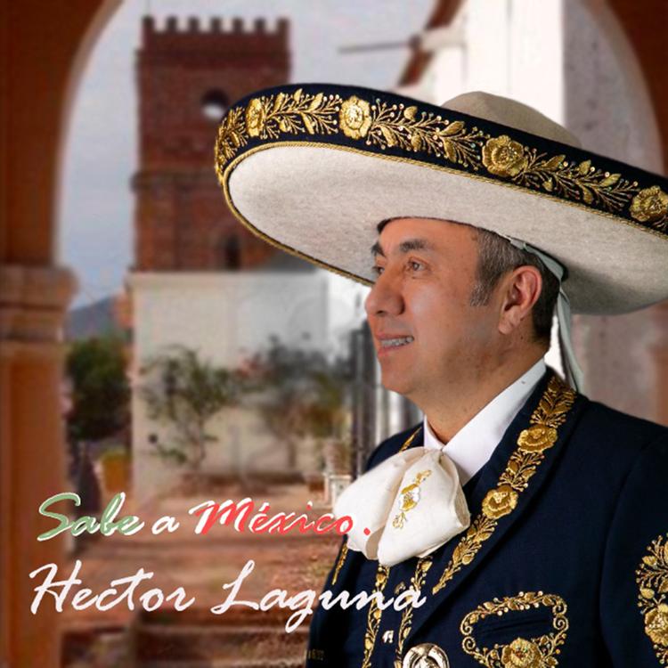Hector Laguna's avatar image