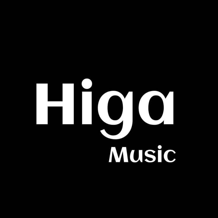 Higa's avatar image