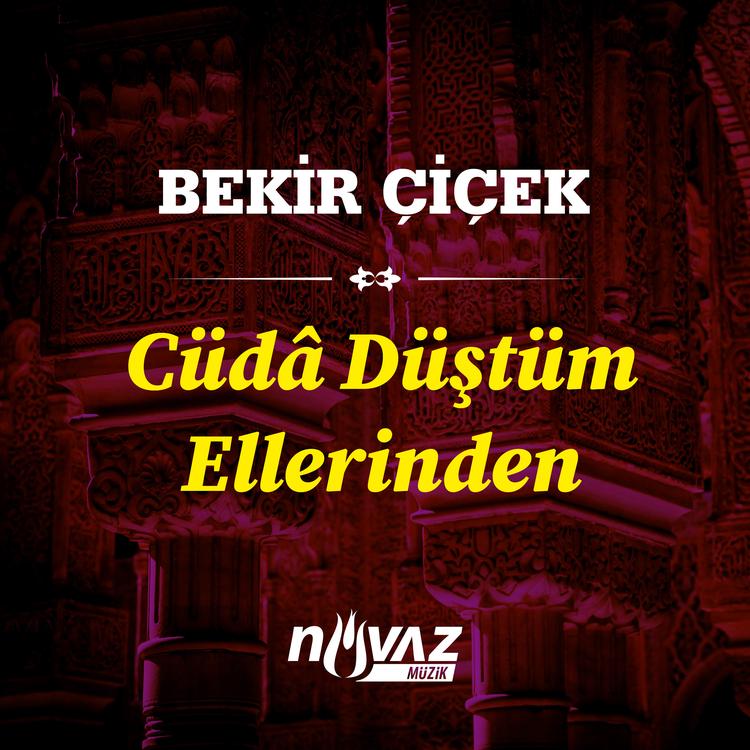 Bekir Çiçek's avatar image