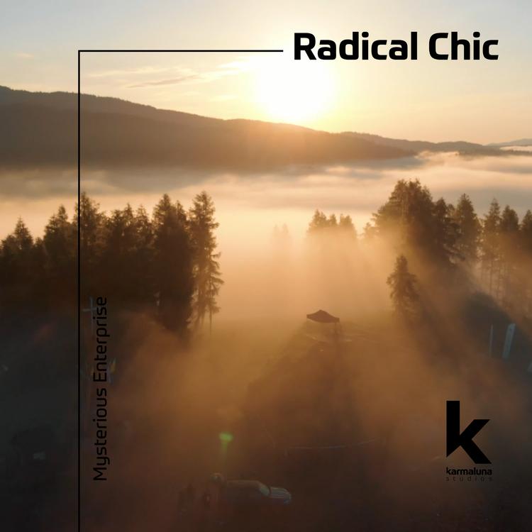 Radical Chic's avatar image