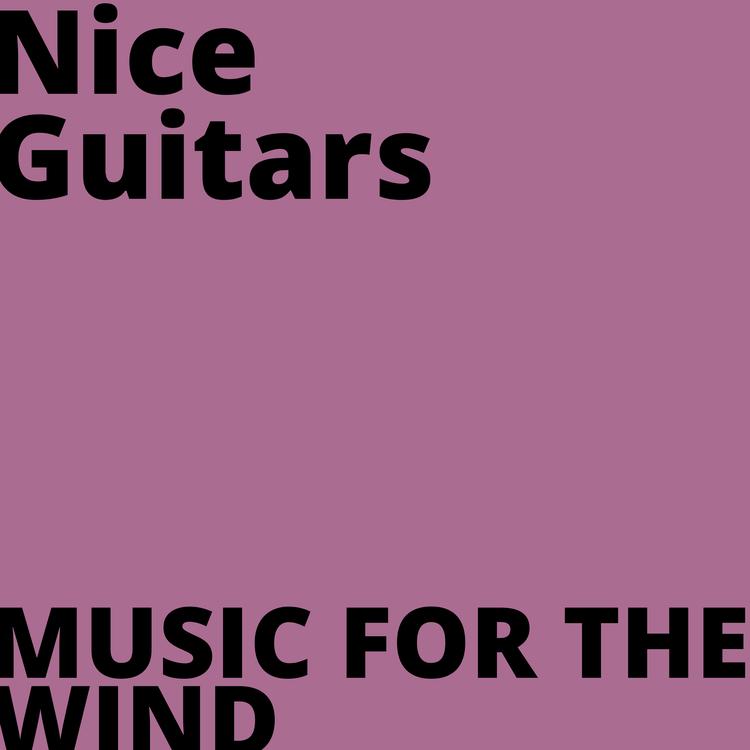 Nice Guitars's avatar image