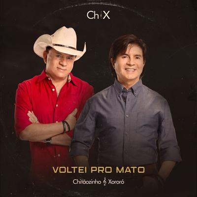 Voltei pro Mato's cover