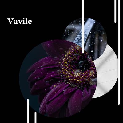 Vavile's cover