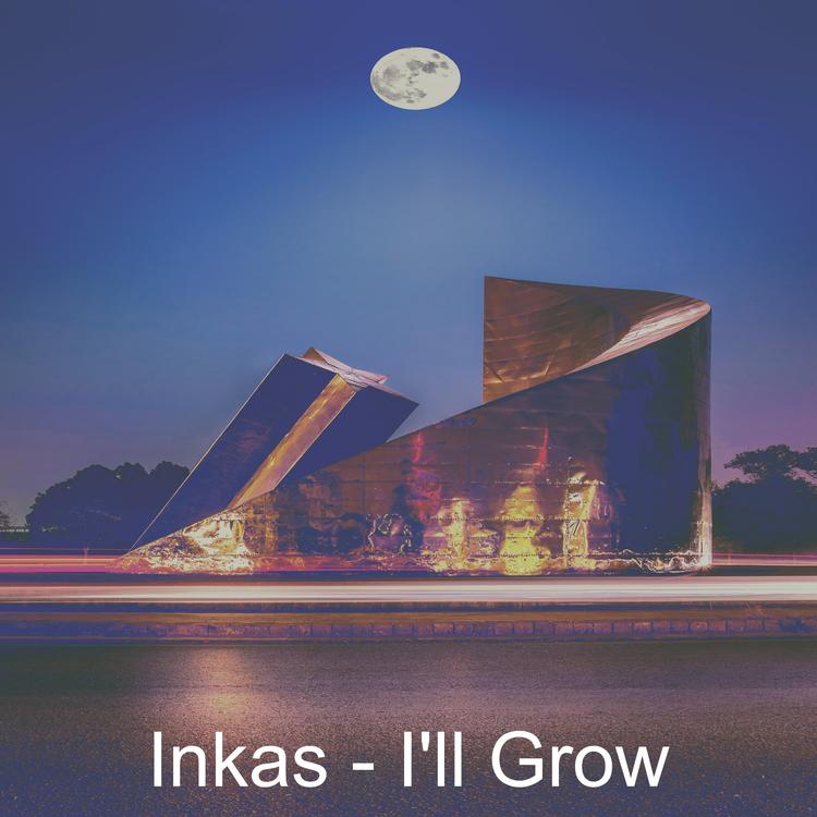 Inkas's avatar image