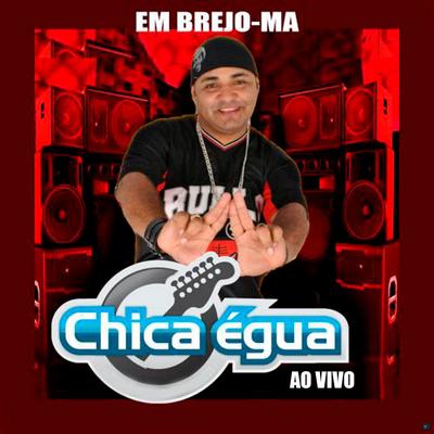 Faz o Meu Pau de Trampolim (Ao Vivo) By Chica Égua's cover