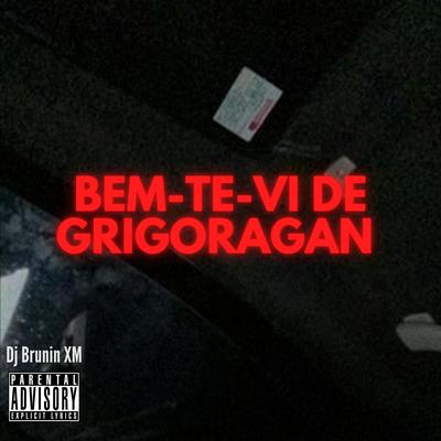 MTG Bem-te-vi de Grigoragan By Dj Brunin XM's cover