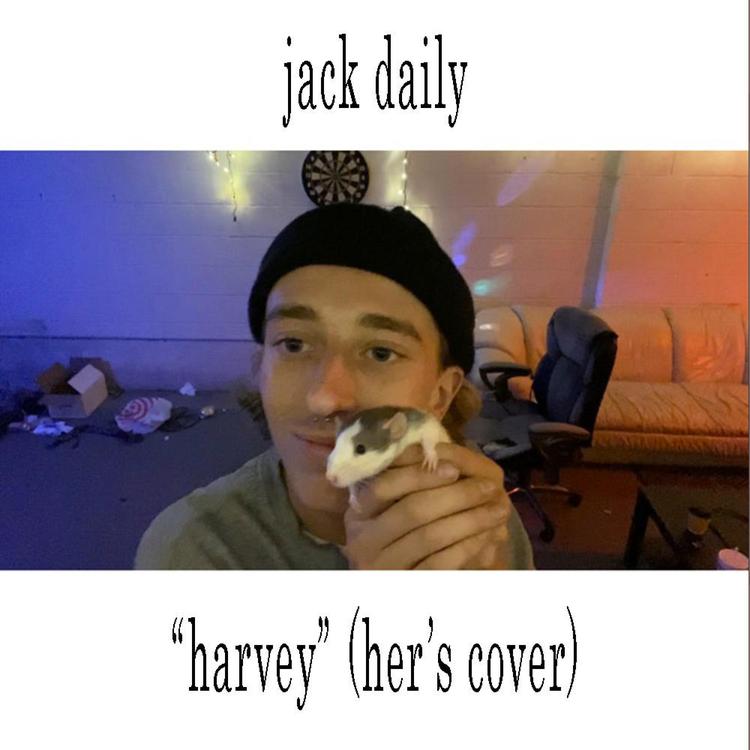 Jack Daily's avatar image