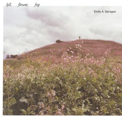 Hill, Flower, Fog's cover