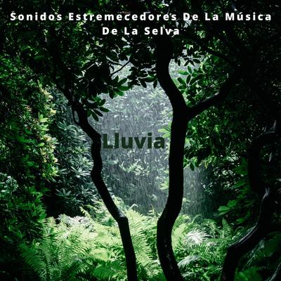 Lluvia: Sonidos Estremecedores De La Música De La Selva's cover