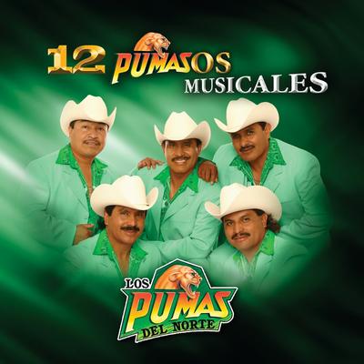 12 Pumazos Musicales's cover