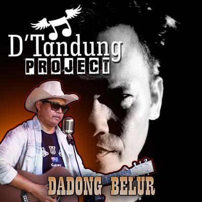 Dadong Belur's cover