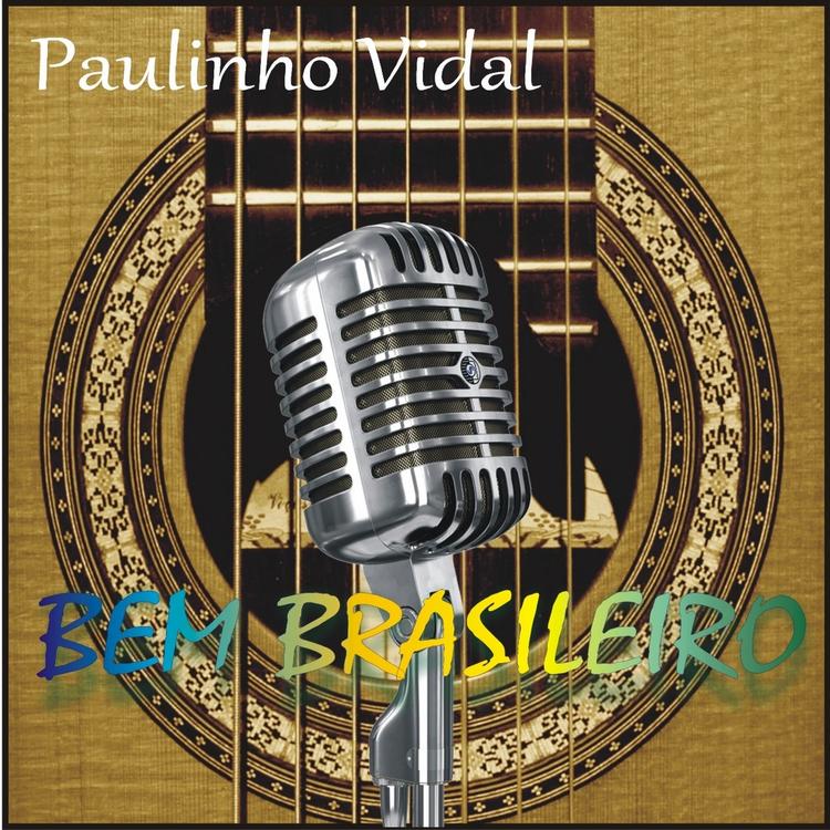 Paulinho Vidal's avatar image