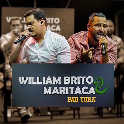 Pra Não Pensar em Você / Preciso Ser Amado (Ao Vivo) By William Brito e Maritaca's cover