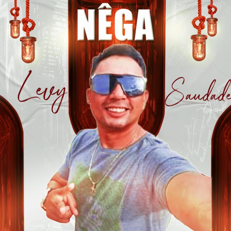 Levy Saudade Oficial's avatar image