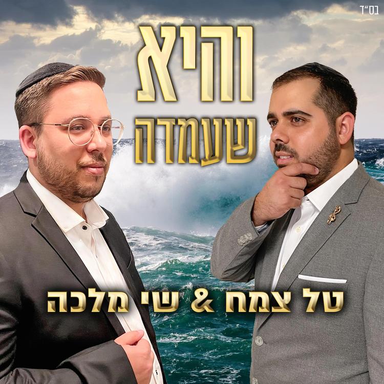 Tal Tzemach - טל צמח's avatar image