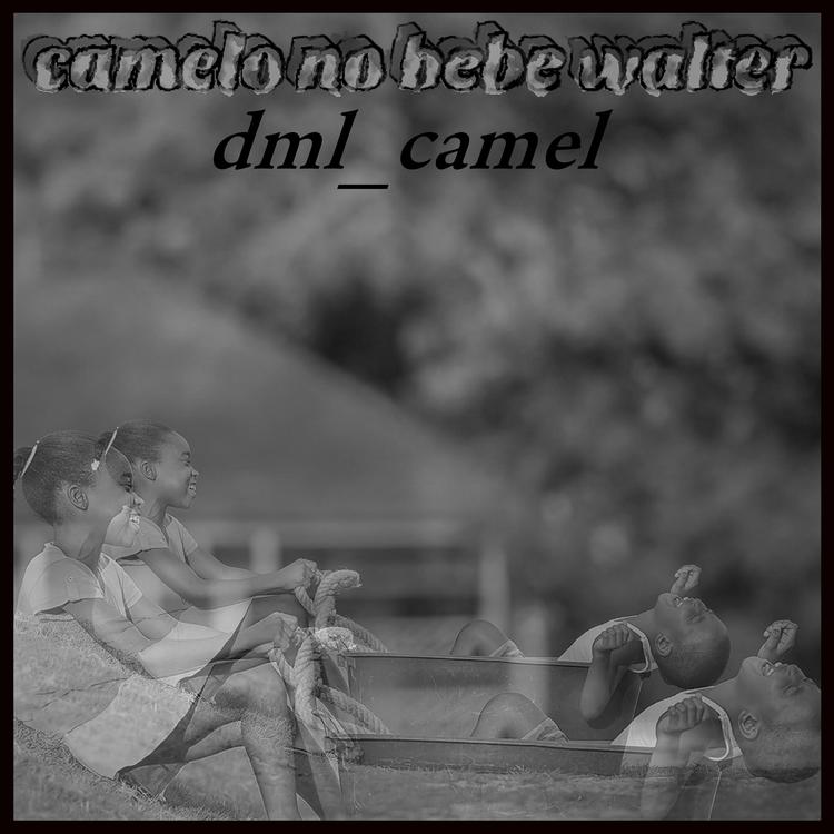 dml_camel's avatar image