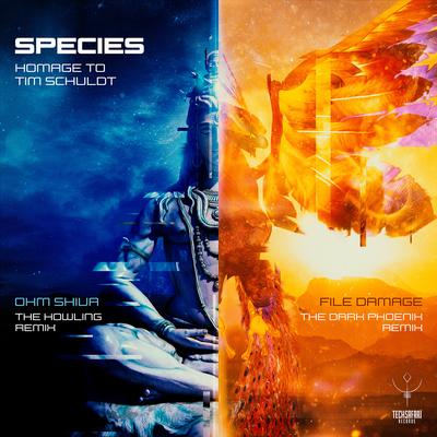 File Damage (Species the Dark Phoenix Remix)'s cover