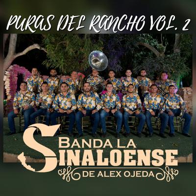 Puras del Rancho vol. 2 (En Vivo)'s cover
