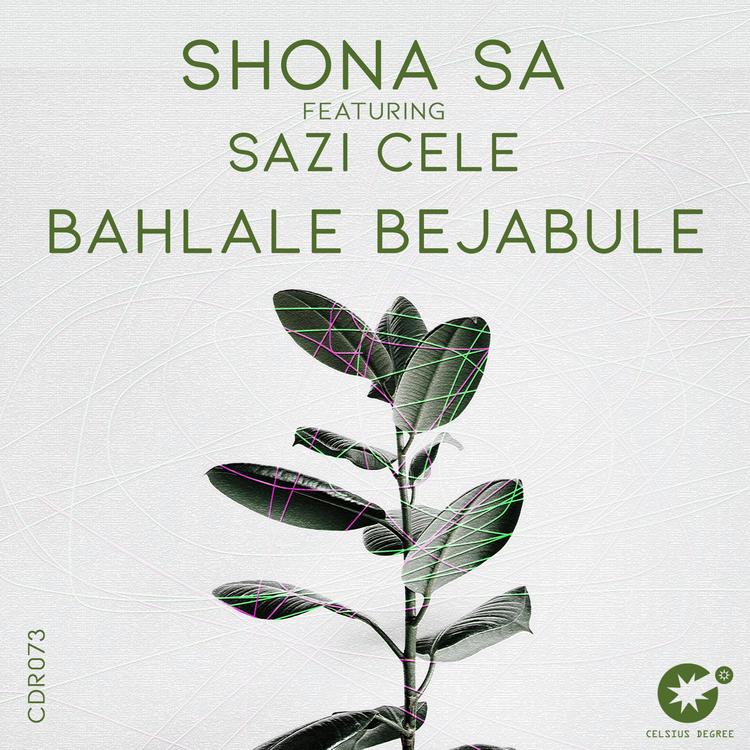 Shona SA's avatar image