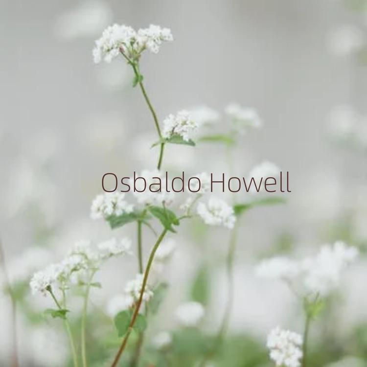 Osbaldo Howell's avatar image