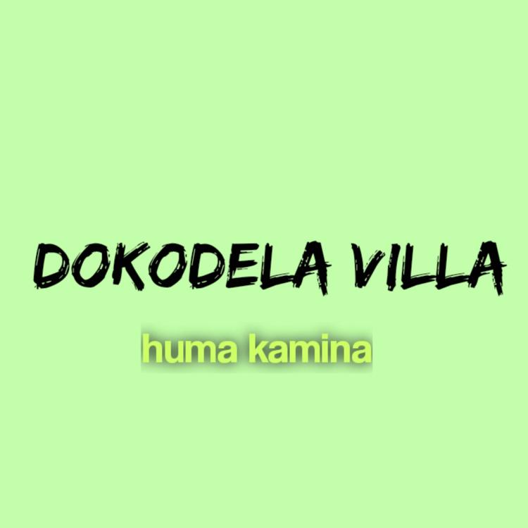 Dokodela Villa's avatar image