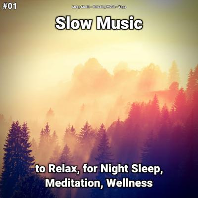 Recreative Relaxation Music's cover