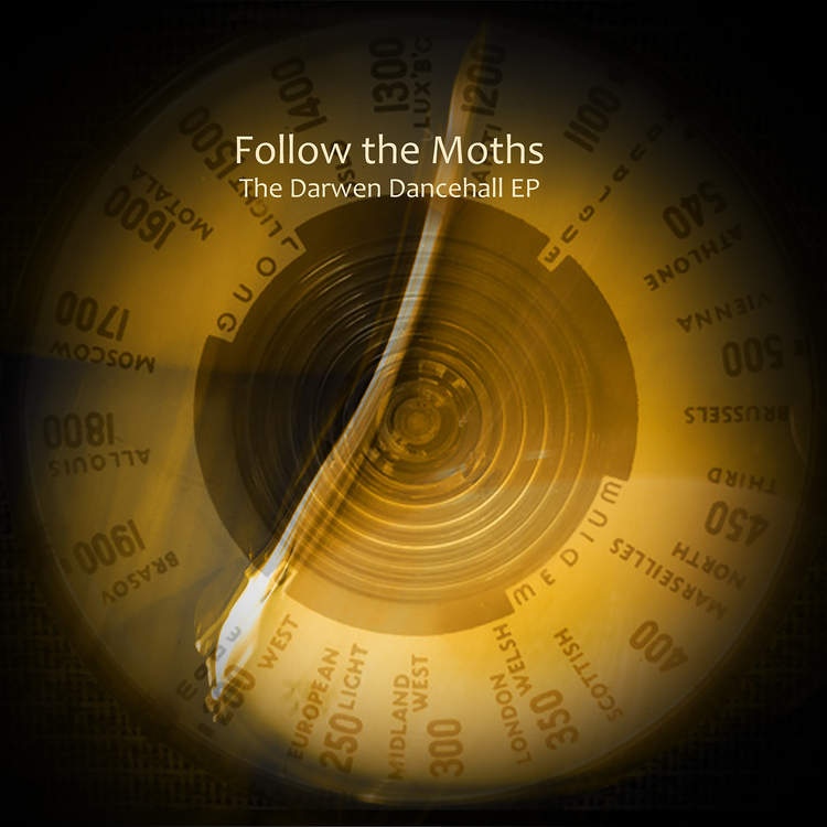 Follow The Moths's avatar image