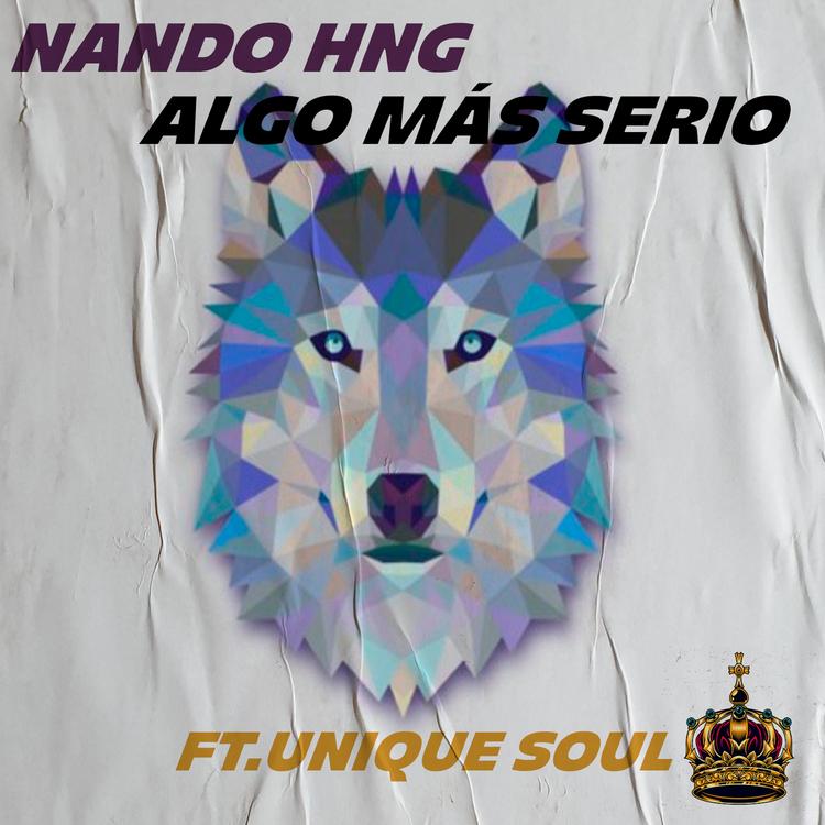 Nando HNG's avatar image