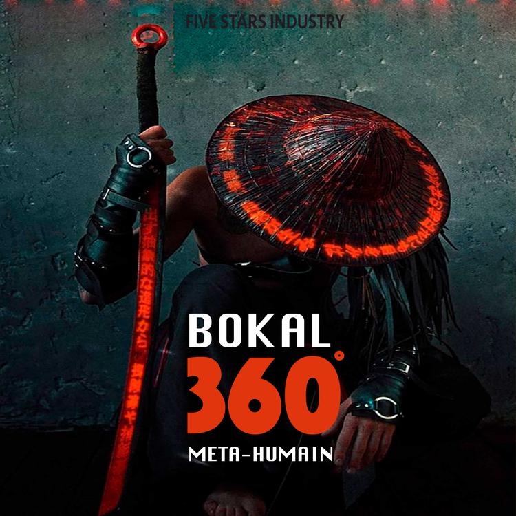 Bokal's avatar image