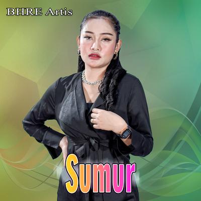 Sumur's cover