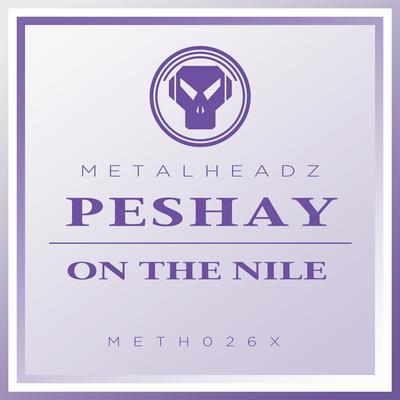 On The Nile (2017 Remaster) By Peshay's cover