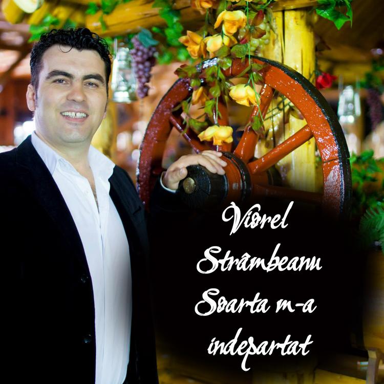 Viorel Strambeanu's avatar image