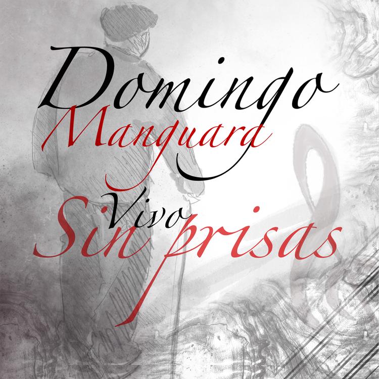 Domingo Manguara's avatar image