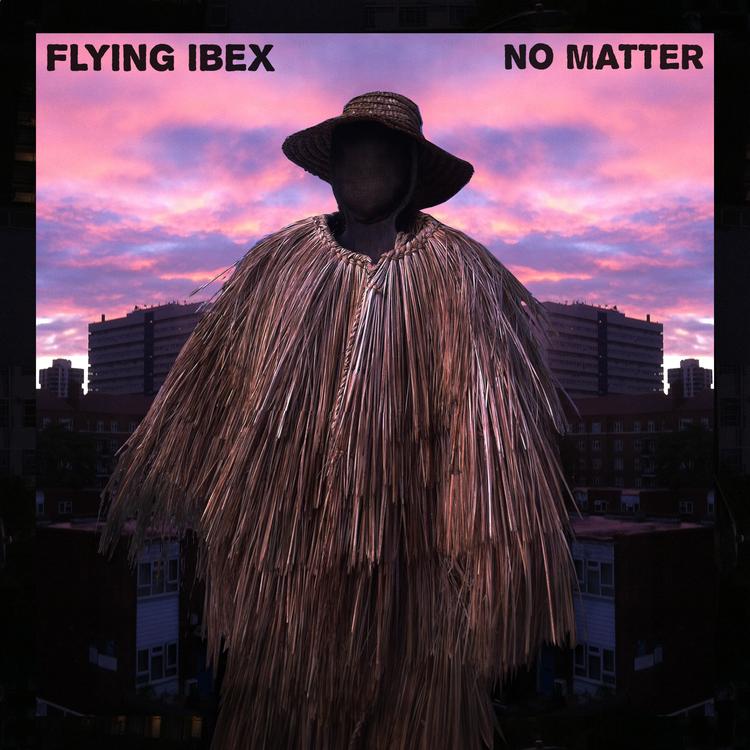 Flying Ibex's avatar image